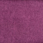 Wool Thistle