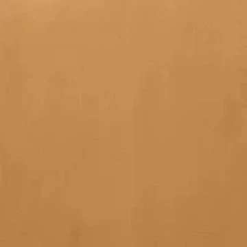 Plush Velvet Orange