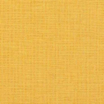 Chenille Honey