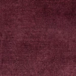 Dove Plum